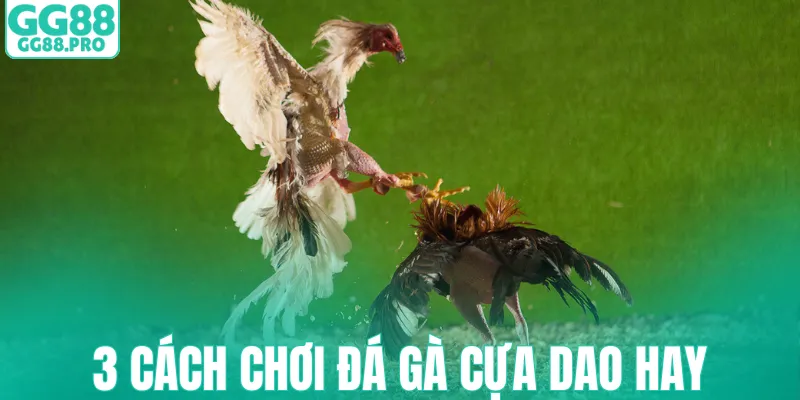 3 cách chơi đá gà cựa dao hay