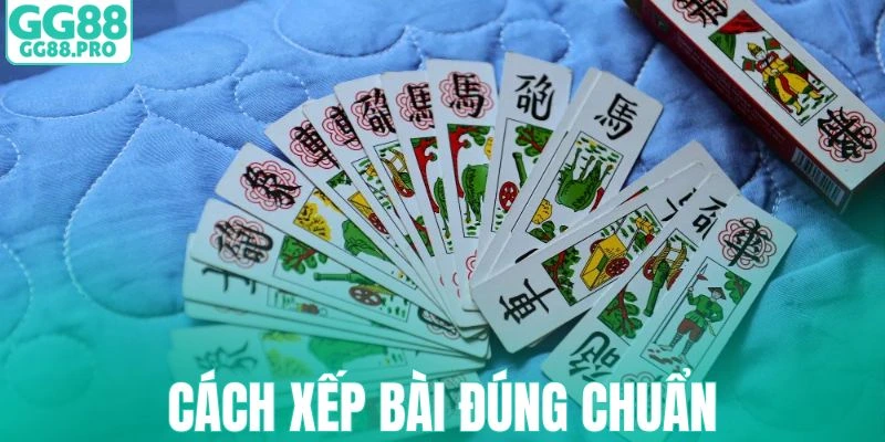 Học cách xếp bài đúng luật của trò chơi tam cúc